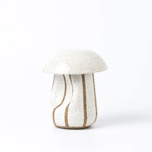 Fungi - Imagem 3