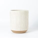 Vaso Veiga